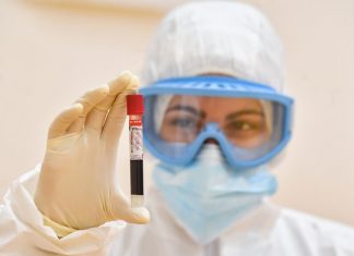 ¿Nueva amenaza de pandemia? El H5N1 da otro salto inquietante