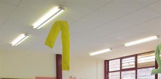 L'Educació que Necessitem: De l'Escola Buida a l'Horitzó Humanista