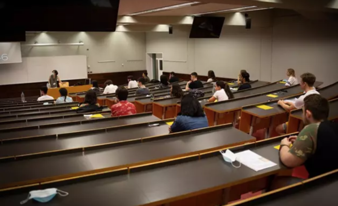 Universidades públicas y privadas: un falso dilema