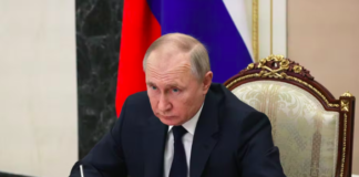 Putin respalda la tregua propuesta por Trump, pero exige condiciones claras