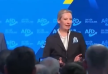 Terremoto de reacciones ante el ascenso de AfD en Alemania