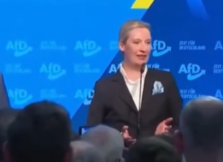 Terremoto de reacciones ante el ascenso de AfD en Alemania