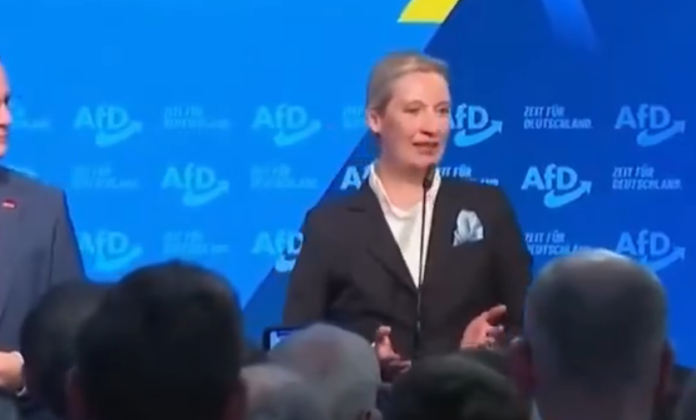 Terremoto de reacciones ante el ascenso de AfD en Alemania