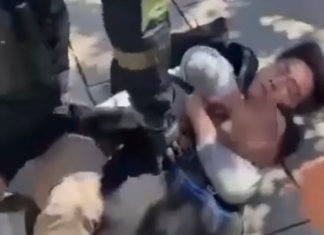 Turista asiático somete con artes marciales a un ladrón en Barcelona