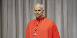 ¿Esquivó el Papa una bandera del orgullo gay?