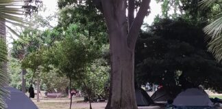 Asentamientos ilegales en el parque de la Ciutadella.