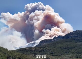 Vista del incendio forestal desatado en Paüls (Bombers).