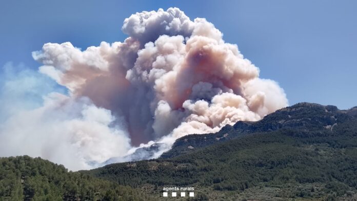 Vista del incendio forestal desatado en Paüls (Bombers).
