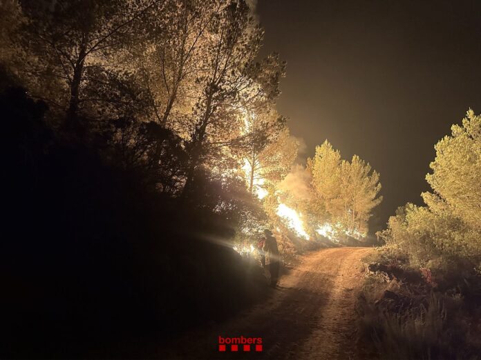 Vista del incendio forestal de Paüls, en el Baix Ebre.