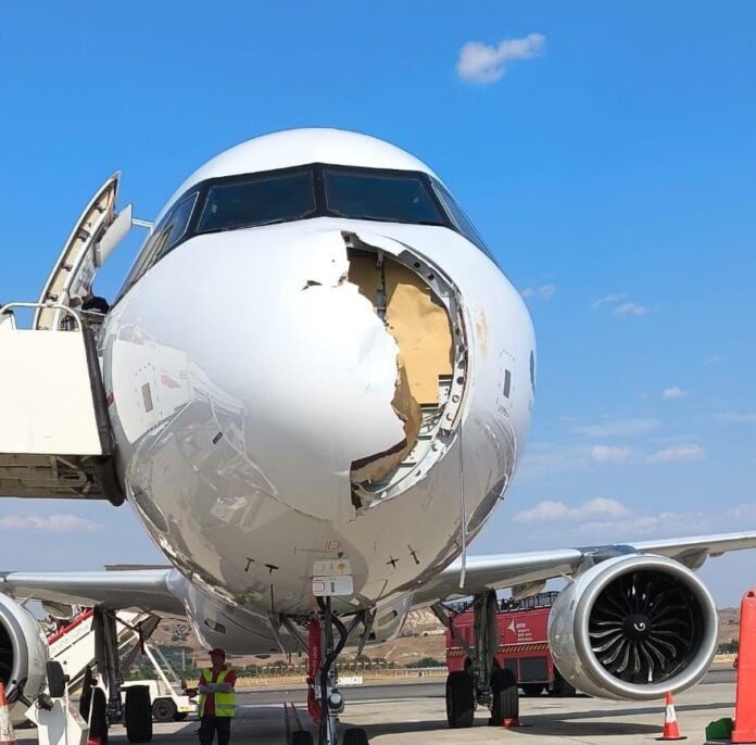 Un pájaro daña un avión de Iberia en pleno vuelo