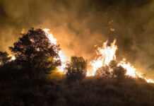Vista de un incendio de vegetación en la zona de Puigmaçana, en Castell de Mur (Bombers).