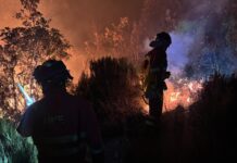 Efectivos de la UME intervienen en el incendio forestal de Barniedo de la Reina (Min. de Defensa).