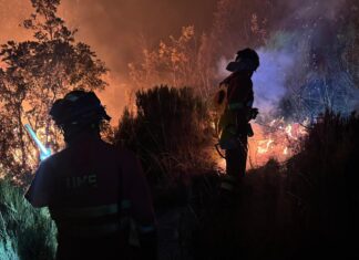 Efectivos de la UME intervienen en el incendio forestal de Barniedo de la Reina (Min. de Defensa).