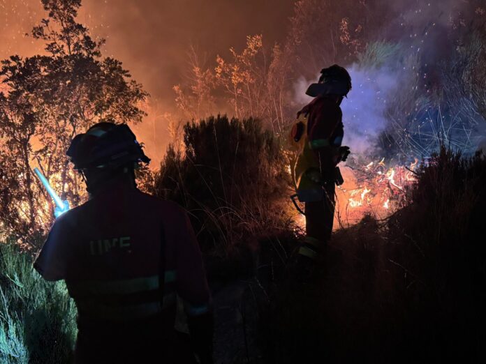 Efectivos de la UME intervienen en el incendio forestal de Barniedo de la Reina (Min. de Defensa).