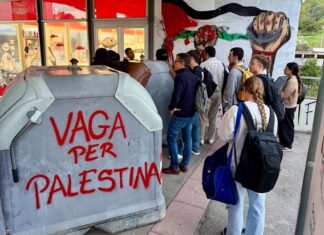 La huelga "por Palestina"