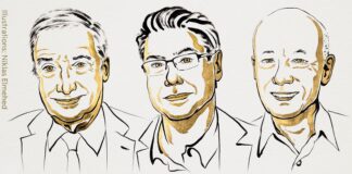 Ilustración de los tres premios Nobel de Economía de 2025.