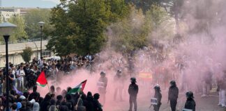 Enfrentamiento entre manifestantes con banderas palestinas y agentes antidisturbios durante una protesta con humo rosa en el ambiente.