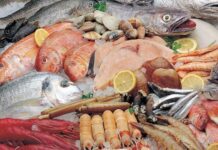 Variedad de pescados y mariscos frescos sobre hielo, con rodajas de limón.