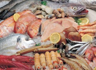 Variedad de pescados y mariscos frescos sobre hielo, con rodajas de limón.