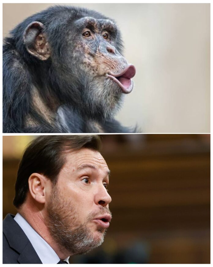 ¿Se ha pasado el PP de la raya? ¿Se ha pasado el PP de la raya?