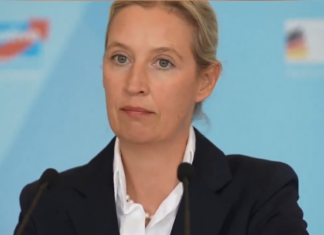 AFD al borde mayoría absoluta en Sajonia-Halt, según los sondeos