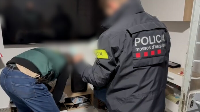 Momento de uno de los registros llevados a cabo por agentes de la Guardia Civil y los Mossos.