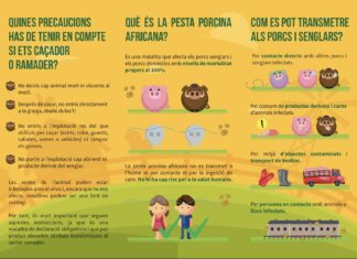 Vista de la campaña de información sobre la peste porcina africana puesta en marcha por la Generalitat.
