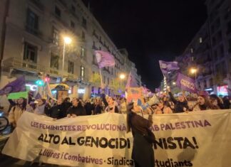 Manifestación celebrada en Barcelona con motivo del 25-N (Libres y Combativas).