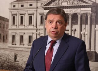 130 días: la estocada final a la pesca mediterránea