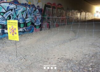 Peste porcina africana: Illa asegura que nada permite concluir que el virus provenga del Irta Vía cerrada a una zona afectada por la peste porcina africana.