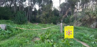 Cartel advirtiendo de la prohibición de acceso a una zona por estar afectada por la peste porcina africana.