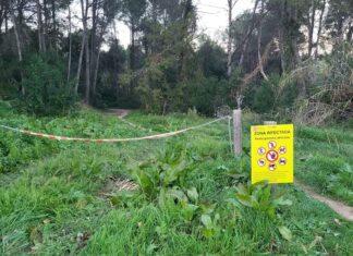 Cartel advirtiendo de la prohibición de acceso a una zona por estar afectada por la peste porcina africana.