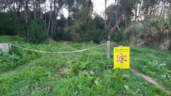 Cartel advirtiendo de la prohibición de acceso a una zona por estar afectada por la peste porcina africana.