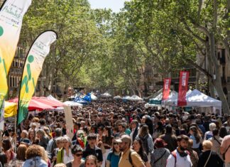 Cataluña supera los 8,2 millones de habitantes impulsada por extranjeros y nacionalizados La Rambla de Barcelona llena de gente durante la celebración de la Diada de Sant Jordi de 2025.