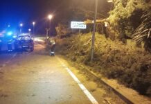 Alerta en el norte de Cataluña: ráfagas de más de 125 km/h y peligro por «torb» este domingo Efectivos de los Bombers de la Generalitat troceando un árbol caído sobre la calzada por las rachas de viento en la urbanización Les Masies Catalanes.