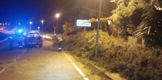 Efectivos de los Bombers de la Generalitat troceando un árbol caído sobre la calzada por las rachas de viento en la urbanización Les Masies Catalanes.