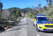 Coche de los Mossos d'Esquadra en una carretera cortada por la caída de árboles debido al fuerte viento en Cataluña.