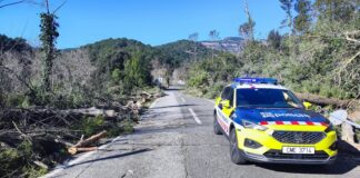 Coche de los Mossos d'Esquadra en una carretera cortada por la caída de árboles debido al fuerte viento en Cataluña.