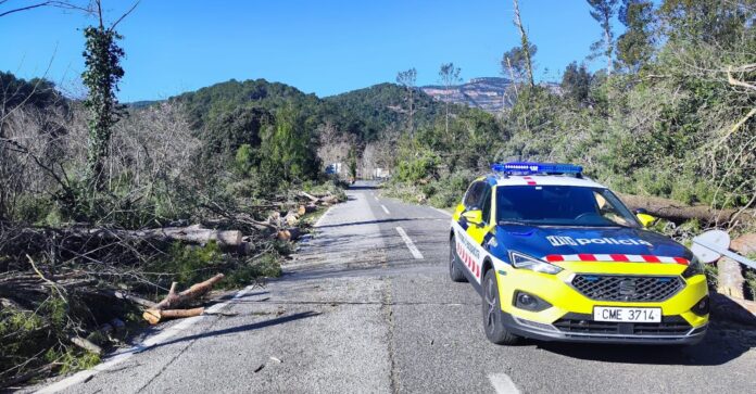 Coche de los Mossos d'Esquadra en una carretera cortada por la caída de árboles debido al fuerte viento en Cataluña.