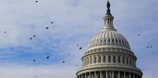 El Senado de EE. UU.