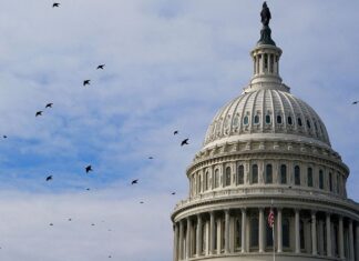 El Senado de EE. UU.