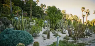 jardines de Mossèn Costa i Llobera