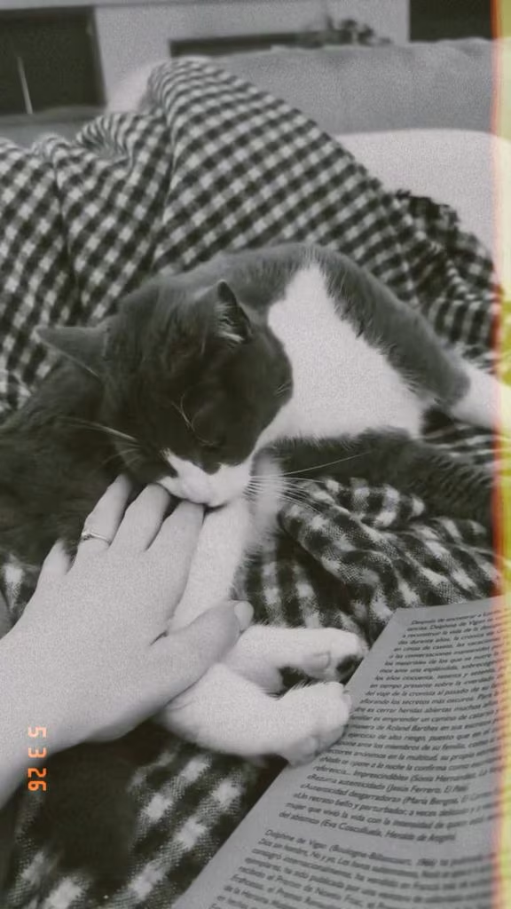 Sara Carbonero tranquiliza a sus seguidores tras su imagen en el hospital