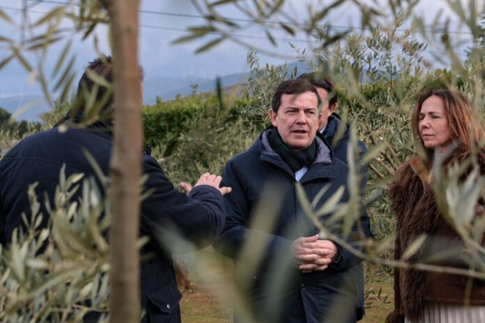 Alfonso Fernández Mañueco en Castilla y León tras una encuesta que sitúa al PP como primera fuerza