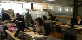 funcionarios trabajando