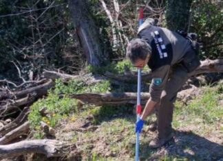 Agente rural recogiendo una muestra de agua tras un vertido de purines en Osona