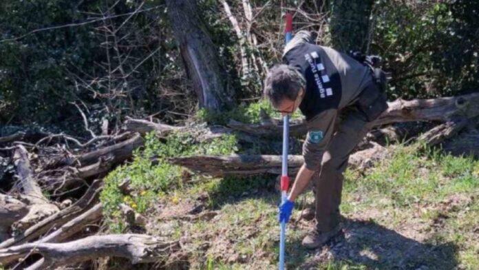 Agente rural recogiendo una muestra de agua tras un vertido de purines en Osona