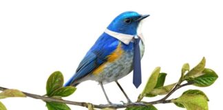 Portada del libro El ecologista de derechas con un pájaro azul con corbata