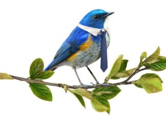 Portada del libro El ecologista de derechas con un pájaro azul con corbata