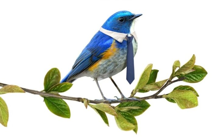 Portada del libro El ecologista de derechas con un pájaro azul con corbata